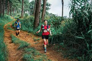 BIB: 
                            <button type="button" onclick="openModal(25659214)" class="btn btn-primary btn-sm float-right btn-popup" data-toggle="modal" data-target=".modal-high-quality">
                        <i class="fas fa-shopping-cart"></i> Add to Cart
                    </button>
                                            <button type="button" onclick="isThisMe(25659214, true)" class="btn btn-success btn-sm float-right btn-popup btn-isme hidden" data-toggle="tooltip" data-placement="bottom" title="นี่คือรูปของคุณใช่ไหม คลิกที่นี่เพื่อเอาเข้าอัลบั้ม">
                        <i class="fas fa-plus"></i> Add to album
                    </button>
                    <button type="button" onclick="isThisMe(25659214, false)" class="btn btn-warning btn-sm float-right btn-popup btn-isnotme hidden">
                        <i class="fas fa-ban"></i> Remove from album
                    </button>